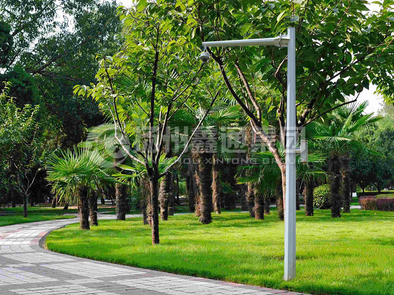 DJG-022，電子警察桿，八棱懸臂球機(jī)桿