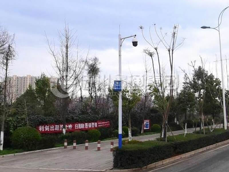 DJG-025，電子警察桿，治安監(jiān)控桿